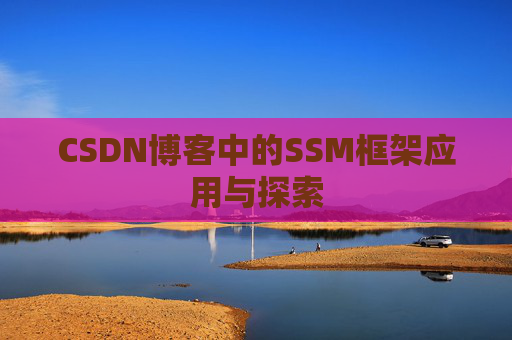 CSDN博客中的SSM框架应用与探索